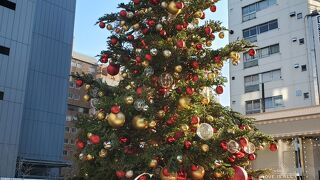 街の彩り楽しみです