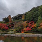 紅葉がすばらしい