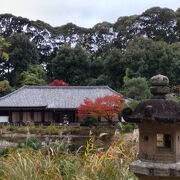 浄瑠璃寺吉祥天女立像開扉