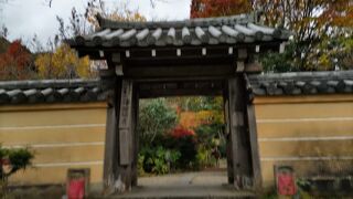 紅葉の季節はバスが奈良からある