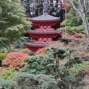 紅葉の日曜　お寺一人で貸し切りでした