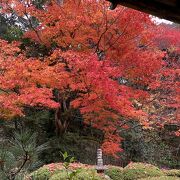 紅葉が素晴らしい　心が落ち着く