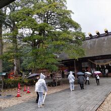 雨の中、本殿を参拝。