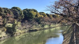 秋に来たのは初めて