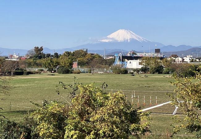 相模川河川敷のスポーツ公園