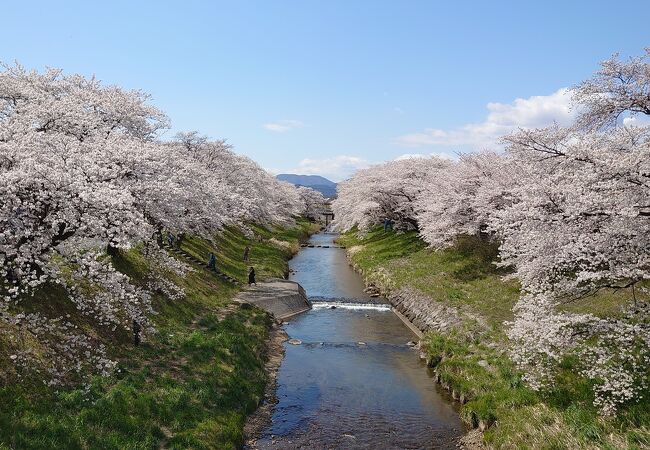 翠ケ丘公園