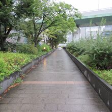 堂島川の南側の遊歩道