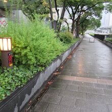 早朝は人が少なかった