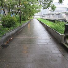 雨の中の散歩