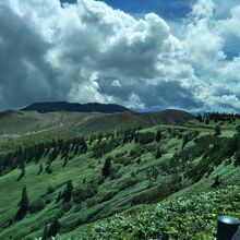 志賀草津高原ルート（国道292号線）