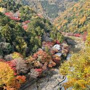 紅葉の嵐山公園