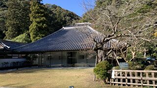 富岡鉄斎の美術館の別館　史料館があります。富岡鉄斎に関しての資料が展示されていました。