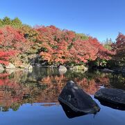 紅葉の季節は姫路城に行ったら是非訪れてください