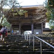 石段を登ると広い境内の神護寺