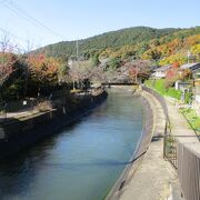 紅葉を期待しましたが残念