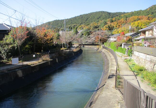 紅葉を期待しましたが残念