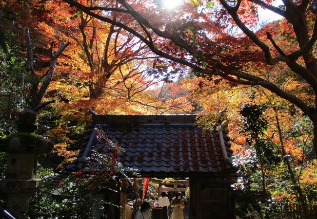 山科の寺・神社 クチコミ人気ランキングTOP20【フォートラベル】|京都