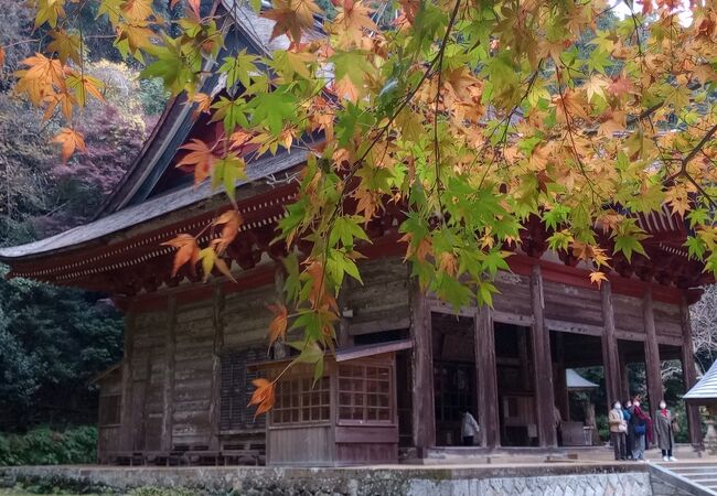 紅葉が有名