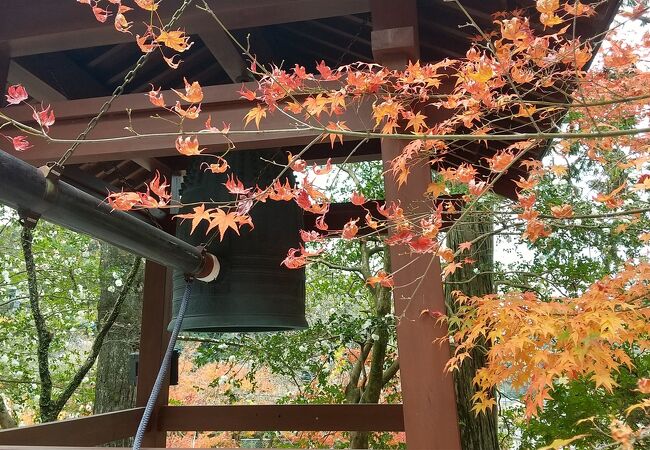 美しい紅葉と白いサザンカが咲き誇る寺院