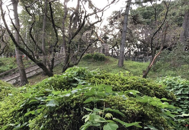 矢田城跡