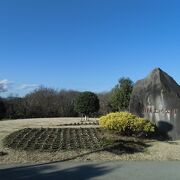 公園からの眺めは絶景です