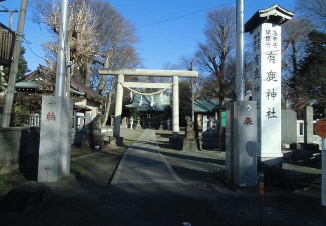 有鹿神社