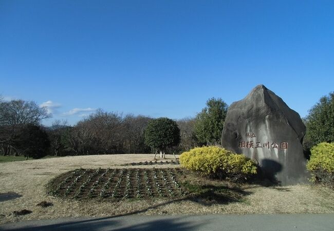 公園からの眺めは絶景です