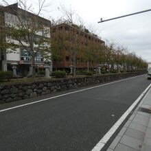 若宮大路