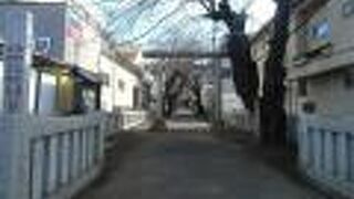 高台にあり、上ってきた甲斐のある景色が眺められます