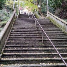 石段を登ります