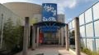 楳図かずお氏のうちわは必見