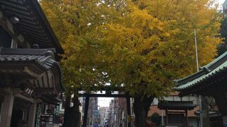 久しぶりの湯島天神
