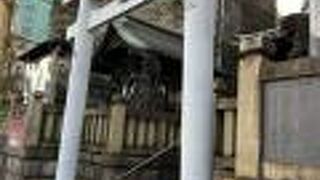 翌日からの館山市伊戸のダイビングが安全におわりますように！