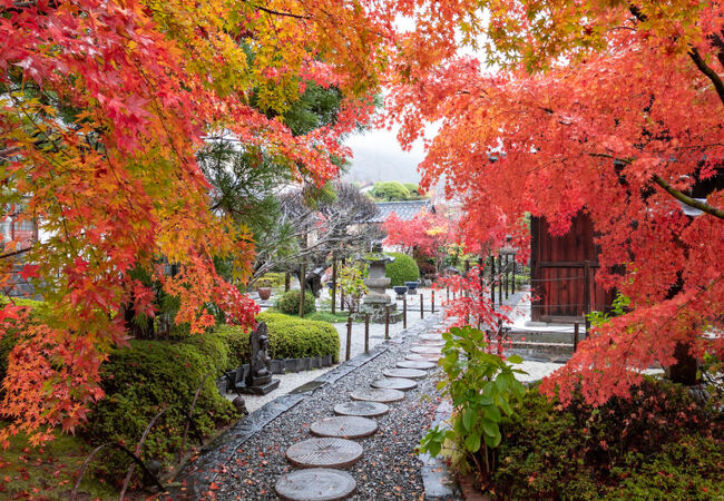 「東光寺庭園」の紅葉が見ごろでした。