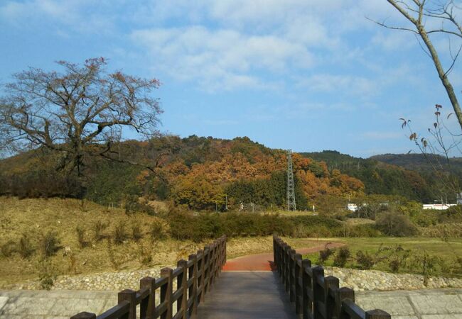 秋は公園を囲む山並みが紅葉で色づき、秋の風情が感じられます