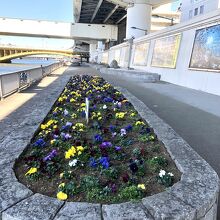 楽しい散歩になりそう！