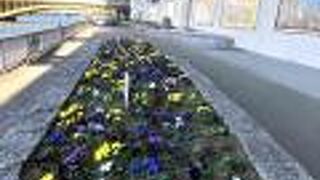 晴天でラッキー！