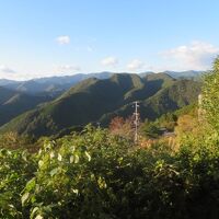 客室からの眺め