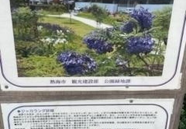 東海岸のジャカランダ クチコミ アクセス 営業時間 熱海 フォートラベル