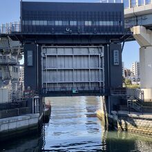 青になっても開かないよ～