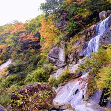 面白山紅葉川渓谷