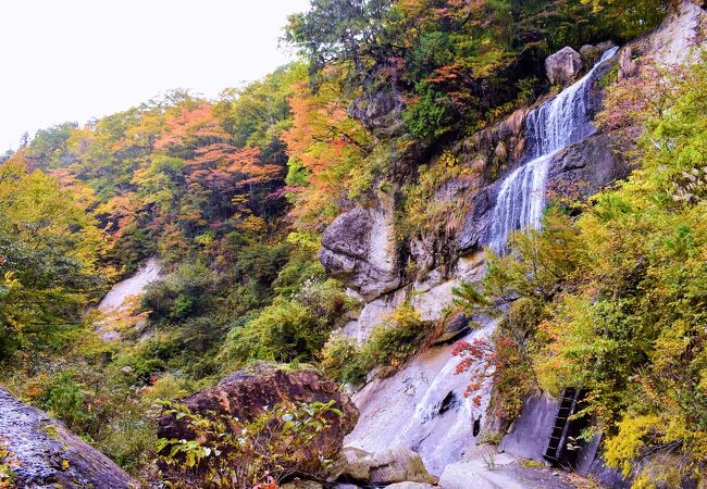 面白山紅葉川渓谷