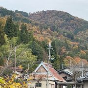 紅葉を見に行きましたが。