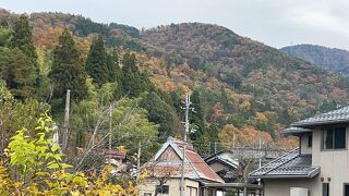 紅葉を見に行きましたが。