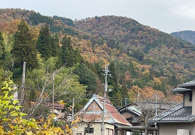 紅葉を見に行きましたが。