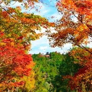 紅葉シーズンの香嵐渓、人混みを避けるためには飯盛山がオススメ