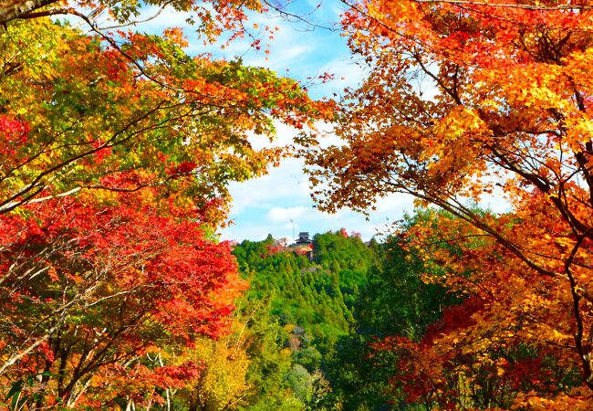 紅葉シーズンの香嵐渓、人混みを避けるためには飯盛山がオススメ