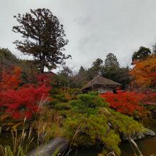 紅葉のお庭