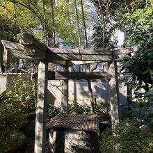 珍しい鳥居　置き場を変えたらいいのに　鬱蒼としていて勿体ない