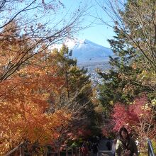 300段の階段を一歩づつ・・